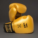 Joya boxing gloves Siam